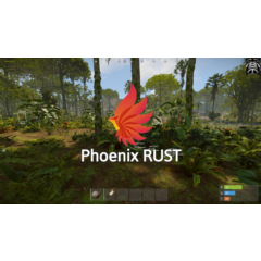 Phoenix RUST