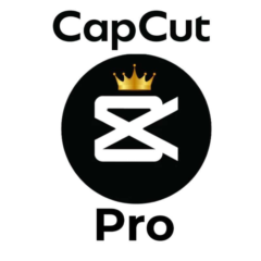 CAPCUT PRO АККАУНТ 1/12 МЕСЯЦЕВ