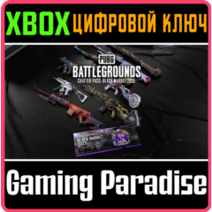 БАЗОВЫЙ НАБОР PUBG «БИЛЕТ РЕМЕСЛЕННИКА: ЧЕРНЫЙ РЫНОК 20