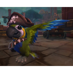 🔑WoW питомец: Cap&acute;n Crackers✔️[EU/RU]