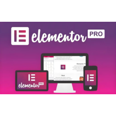 Оригинальная лицензия Elementor Pro на один год