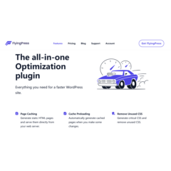 Оригинальная лицензия FlyingPress на один год