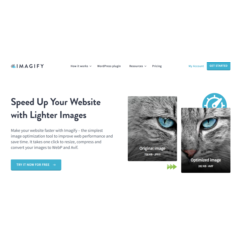 Оригинальная лицензия Imagify Pro на один год