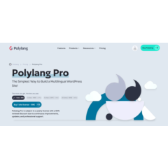Плагин GPL для инструмента перевода Polylang Pro