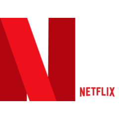 Netflix US 20 USD