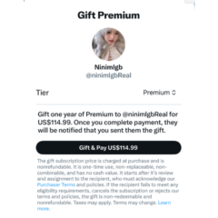 Подписка на Twitter X Premium на 12 месяцев | БЕЗ ВХОДА