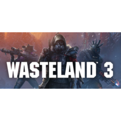 Wasteland 3 STEAM KEY Россия  МИР