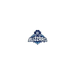 Blizzard CA 100 CAD