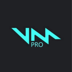 VOICEMOD PRO на 1 год  (Лицензионный ключ)