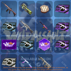 🎶Wild Assault🎖️Твич Дропсы💫15 предметов + 🎁