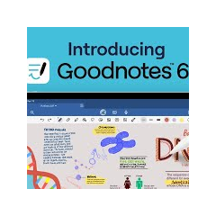 Goodnotes 6 PRO 1 ГОД iPhone ios AppStore iPad +