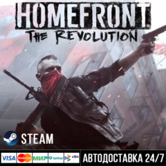 Homefront: The Revolution СТИМ Steam Gift
