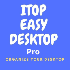 iTop Easy Desktop Pro - 1 год