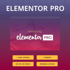 Официальная лицензия плагина Elementor Pro на 1 год