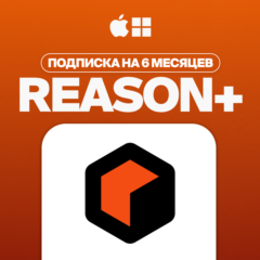 REASON+ [6 МЕСЯЦЕВ] | НА ВАШ АККАУНТ