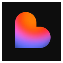 Lovable Pro 12 месяцев приватного аккаунта