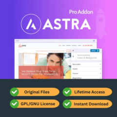Astra Pro Theme Addon на всю жизнь ( GPL Version )