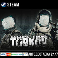 Escape from Tarkov СТИМ Steam Gift