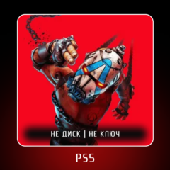 🎮 Borderlands 4 (2025) ✨ PS5 | П2/П3