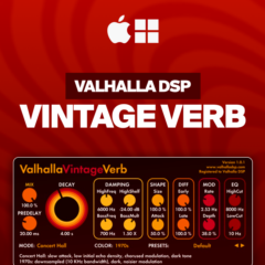 Valhalla VintageVerb | ЛИЦЕНЗИЯ • АВТО-ДОСТАВКА 24/7