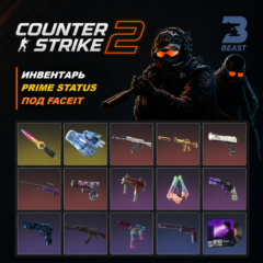 CS2 PRIME | С ИНВЕНТАРЕМ 13 000 РУБЛЕЙ | ПОД FACEIT