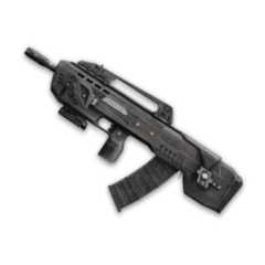 Kral Arms Compact (1 час)