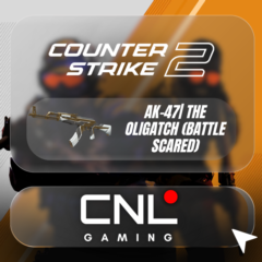 AK-47| The Oligatch (battle scared)