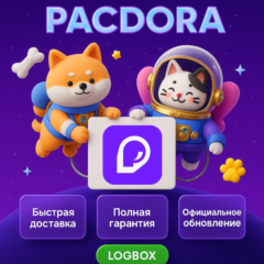 Pacdora – Создание 3D упаковки и мокапов, 1 месяц
