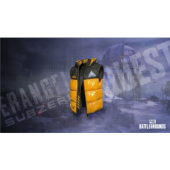 PUBG Creed Vest  Code/Key ⛔️ AUTOMATIC ISSUE 24/7