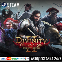 Divinity: Original Sin 2 - Definitive E СТИМ Steam Gift