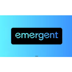 Emergent AI — год спустя | Электронная почта | Стандарт