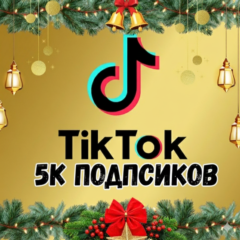 5000 подписчиков в TikTok