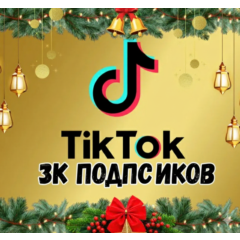 Подписчики в TikTok: 3000