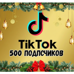 Подписчики в TikTok: 500