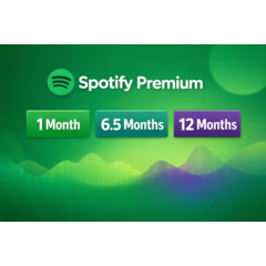 Spotify Premium Subscription