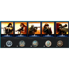 CS 2 - 5 Наборов по 5 карточек (Карточки Steam/Стим)