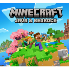 Java & Bedrock