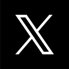 Twitter X Basic/Premium/Premium Plus | 1/12 месяц