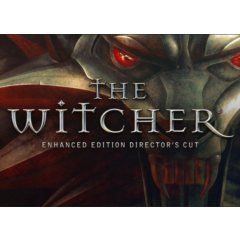 The Witcher Director&acute;s Cut Enhanced Edition Global GOG
