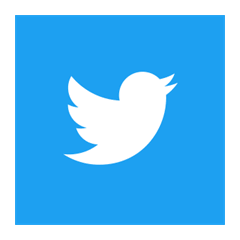 Twitter Followers 500 in cheap price