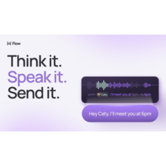 Wispr Flow Pro — 1 год владения | Голосовая диктовка на