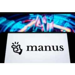 Manus AI - 1 год в почтовой рассылке | $240