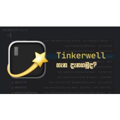 PHP | Tinkerwell 12 месяцев - личный аккаунт - активен на 2 устройствах