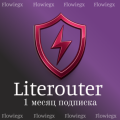 Literouter | 1 месяц подписка | Автодоставка 24/7