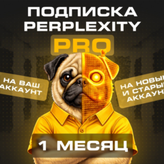 🍀Perplexity AI Pro | 1 Месяц | Новые и Старые Аккаунты | Гарантия