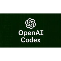 Приглашение в Workspace Codex | Баланс 2500 Кредитов ($100) | 1 Месяц