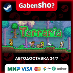 Terraria СТИМ Steam Gift