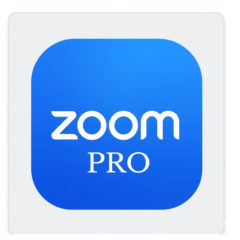 Подписка на Zoom Workplace Pro на 28 дней