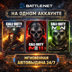 Modern Warfare 3 + Modern Warfare 2 + Black Ops 6 | B.NET | СМЕНА ВСЕХ ДАННЫХ