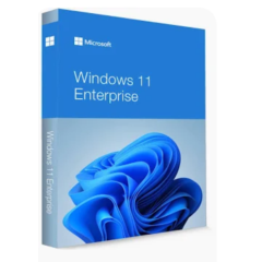 windows 11 enterprise